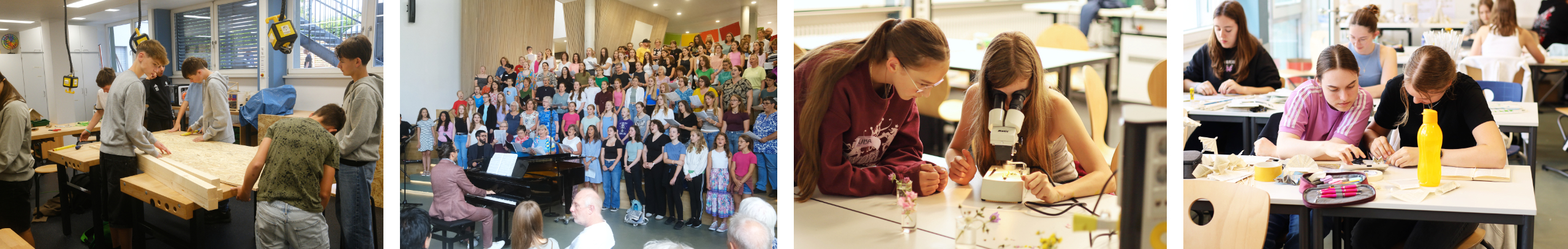 Burghardt-Gymnasium Buchen (Odenwald) Burghardt-Gymnasium Buchen (Odenwald)